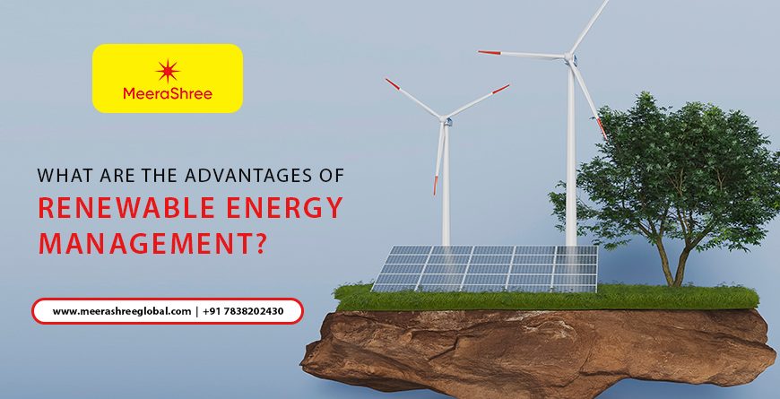 Renewable Energy Management in India